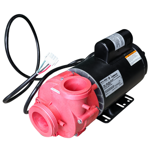 Pump 5HP 2SP 240V 2.5in/2in 60Hz - Balboa