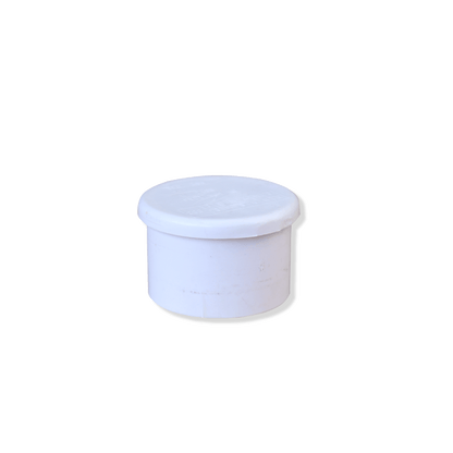 Plug - 2in (SP)