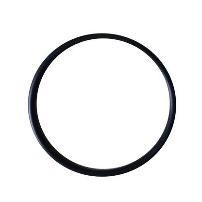DISC- Threaded Adaptor O-Ring - 2in