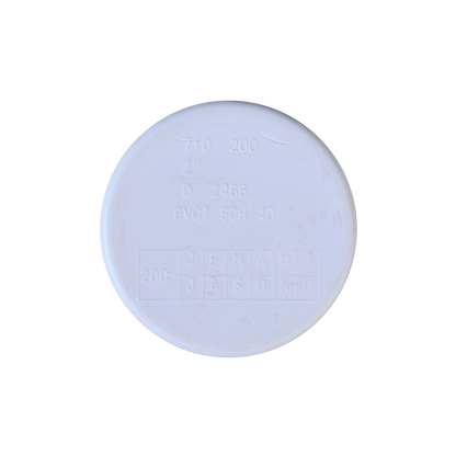 Plug - 2in (SP)