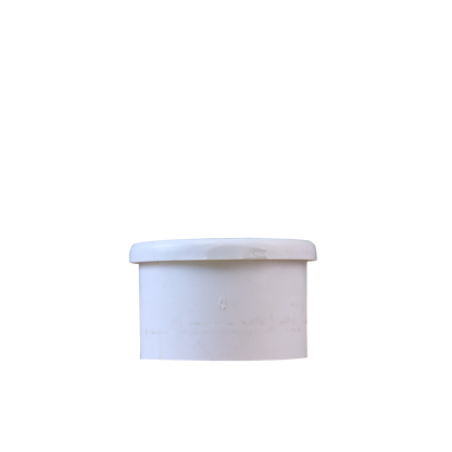 Plug - 2in (SP)